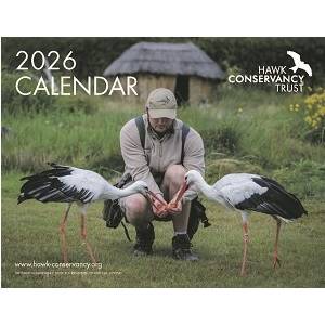 2026 Calendar